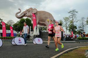 BIB: 
                            <button type="button" onclick="openModal(26528580)" class="btn btn-primary btn-sm float-right btn-popup" data-toggle="modal" data-target=".modal-high-quality">
                        <i class="fas fa-shopping-cart"></i> Add to Cart
                    </button>
                                            <button type="button" onclick="isThisMe(26528580, true)" class="btn btn-success btn-sm float-right btn-popup btn-isme hidden" data-toggle="tooltip" data-placement="bottom" title="นี่คือรูปของคุณใช่ไหม คลิกที่นี่เพื่อเอาเข้าอัลบั้ม">
                        <i class="fas fa-plus"></i> Add to album
                    </button>
                    <button type="button" onclick="isThisMe(26528580, false)" class="btn btn-warning btn-sm float-right btn-popup btn-isnotme hidden">
                        <i class="fas fa-ban"></i> Remove from album
                    </button>